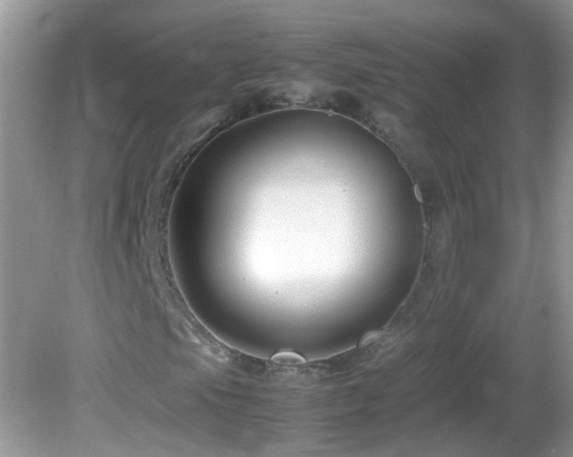 X0000082751105200701261500
