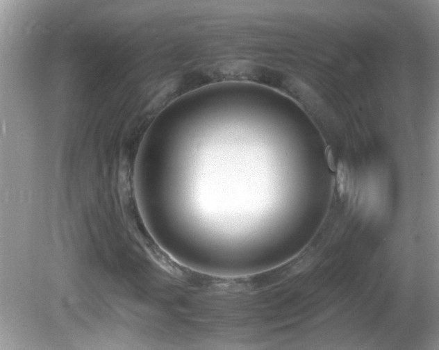 X0000082751107200701261500