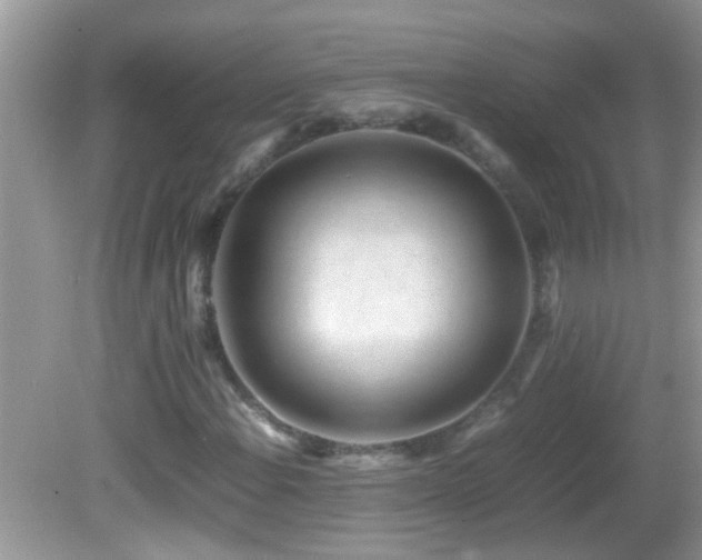 X0000082751108200701261500