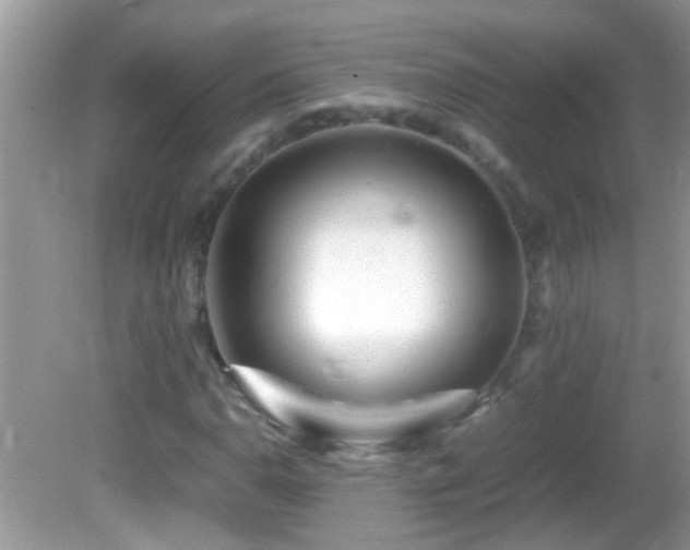 X0000082751110200701261500