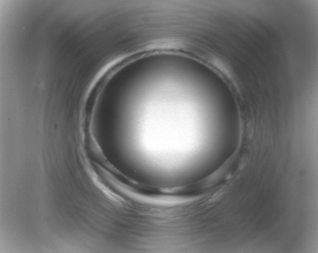 X0000082751124200701261500