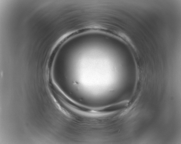 X0000082751125200701261500
