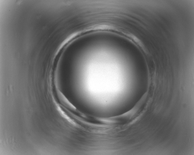 X0000082751134200701261500