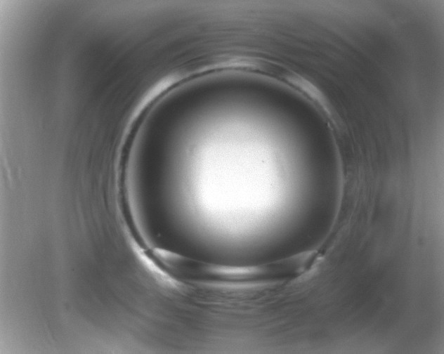 X0000082751135200701261500