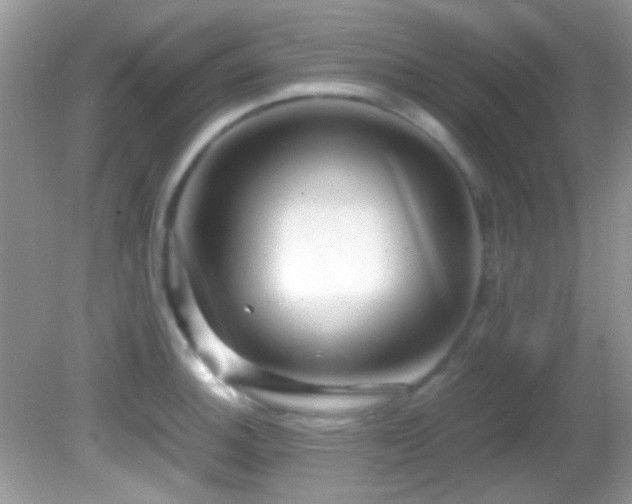 X0000082751140200701261500