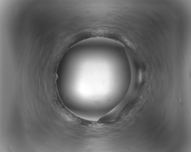 X0000082751153200701261500
