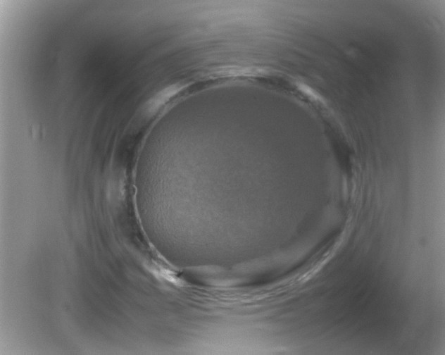 X0000082751161200701261500