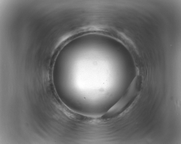 X0000082751166200701261459