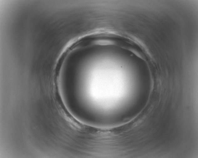 X0000082751168200701261459