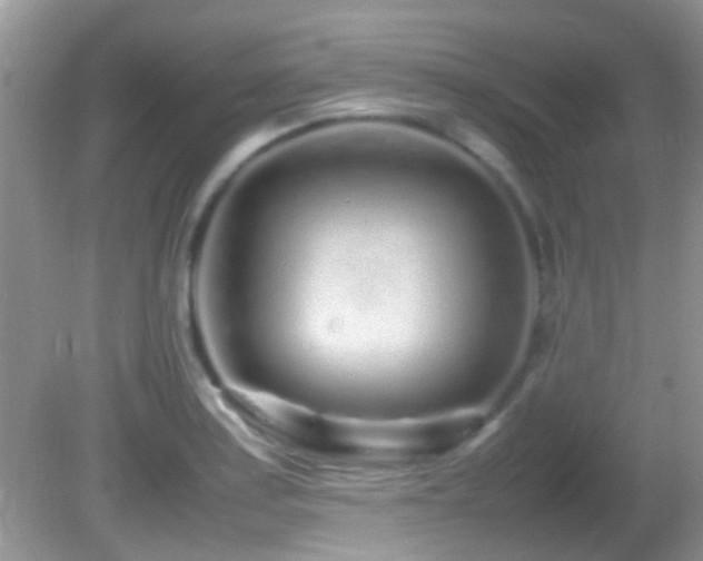 X0000082751179200701261459