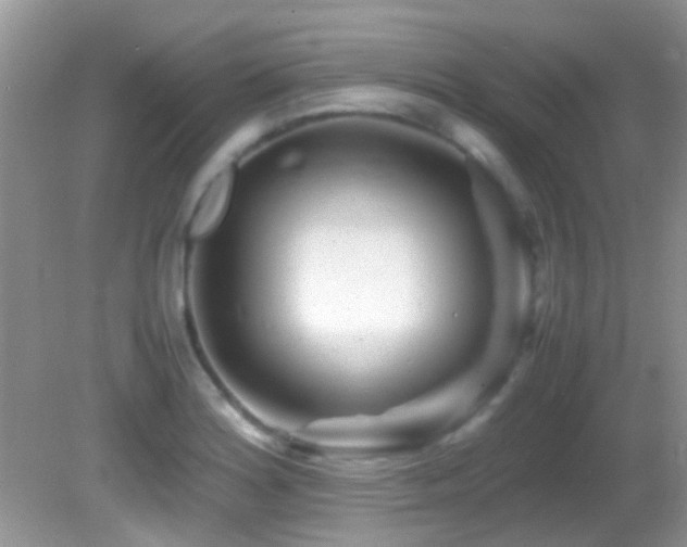 X0000082751180200701261459