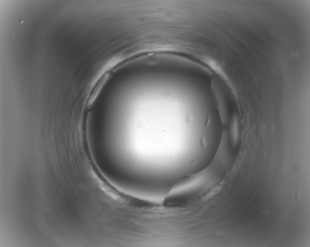 X0000082751181200701261459