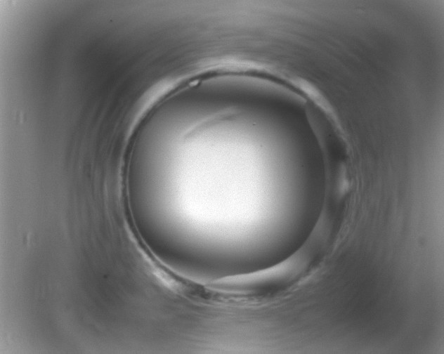 X0000082751183200701261459