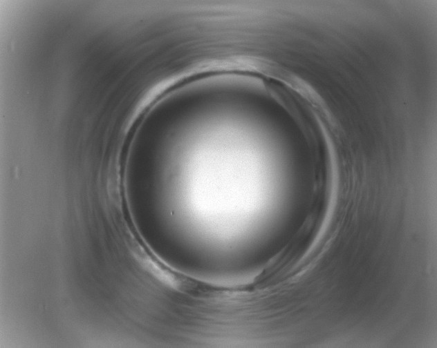 X0000082751184200701261459