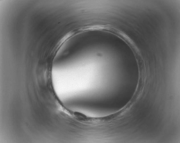 X0000082751193200701261459