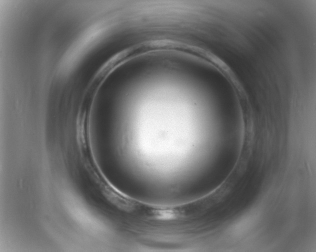 X0000082751199200701261459
