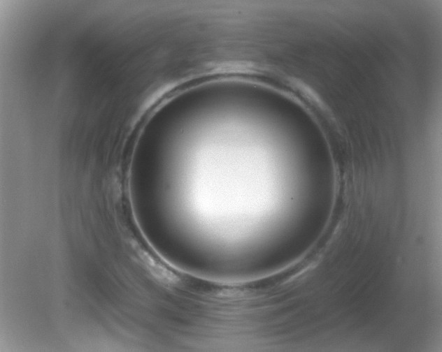 X0000082751212200701261458