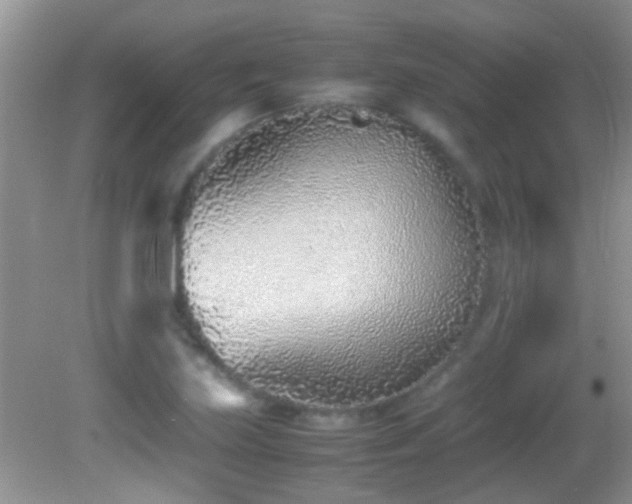 X0000082751219200701261458