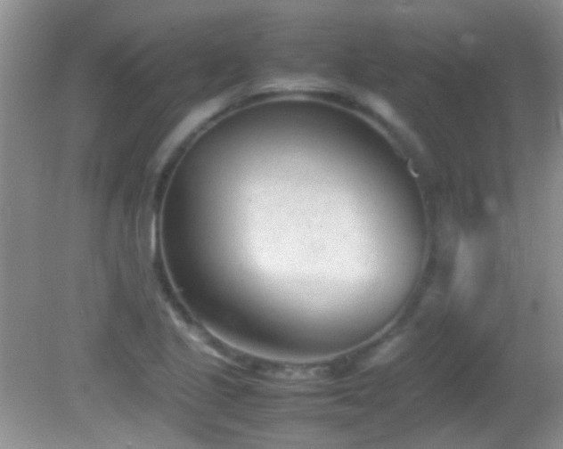 X0000082751221200701261458