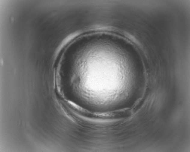 X0000082751223200701261458
