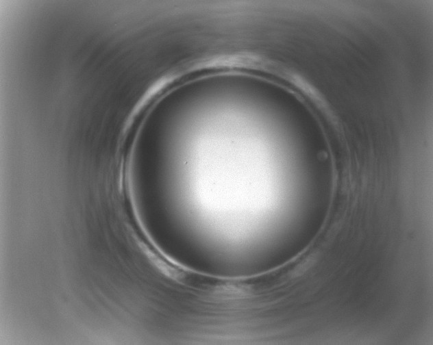 X0000082751224200701261458