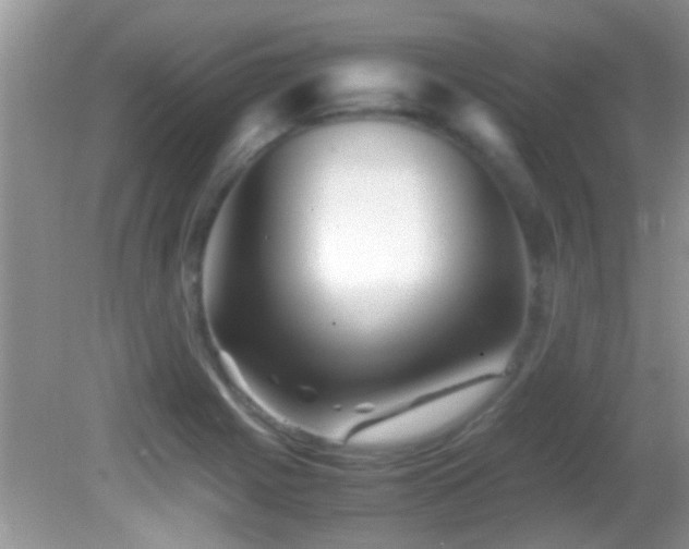 X0000082751225200701261459
