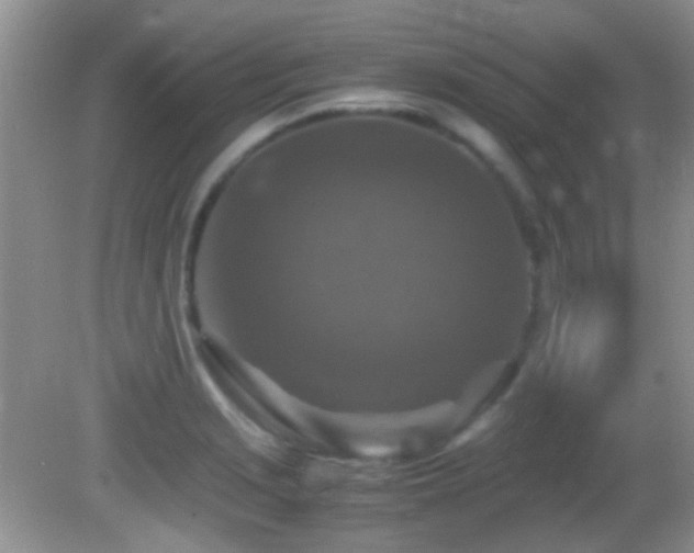X0000082751229200701261459
