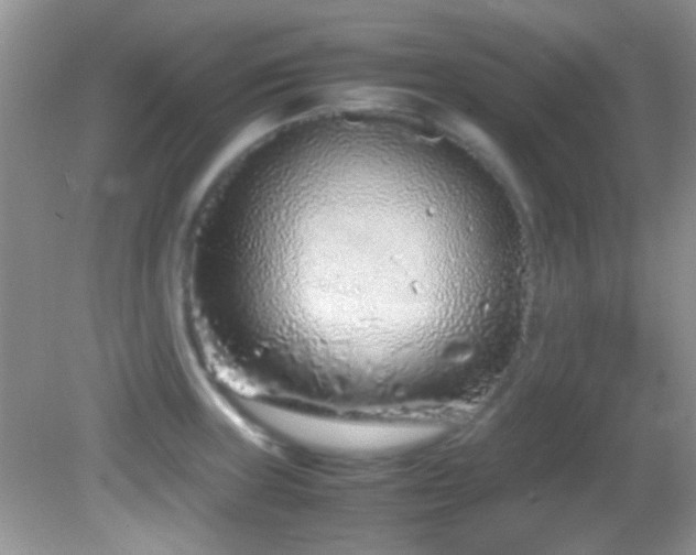 X0000082751235200701261459