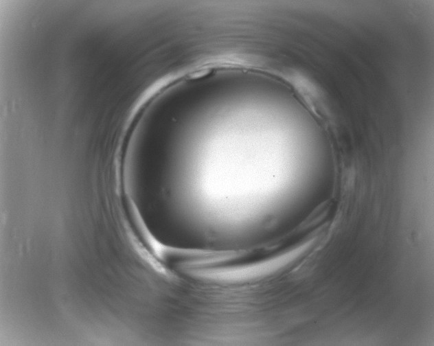 X0000082751238200701261459
