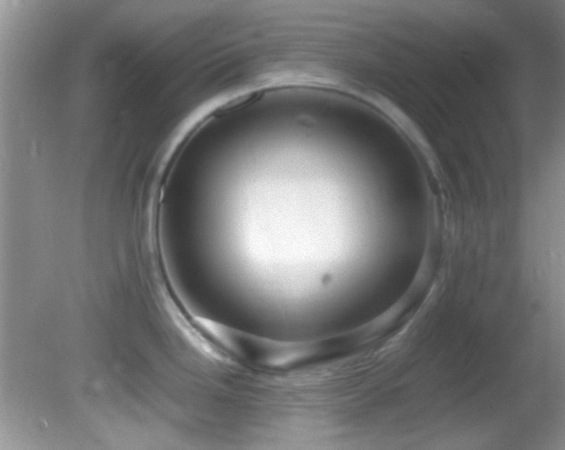 X0000082751246200701261459