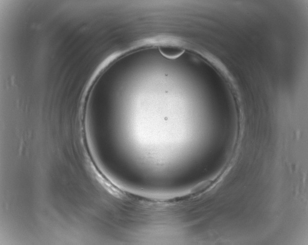 X0000082751248200701261459