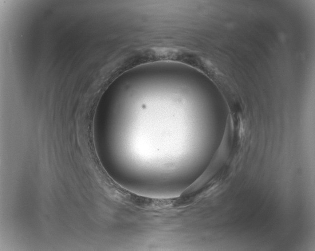 X0000082751249200701261458
