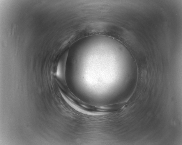 X0000082751250200701261458