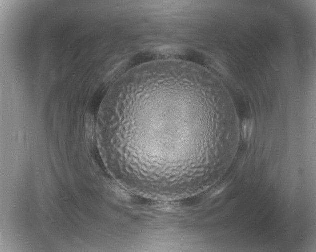 X0000082751251200701261458