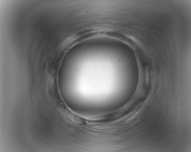 X0000082751257200701261458