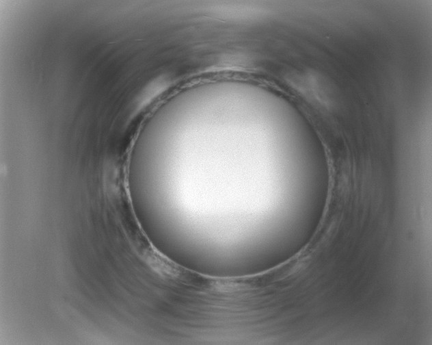 X0000082751258200701261458