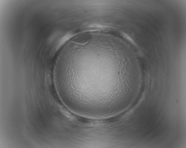 X0000082751259200701261458