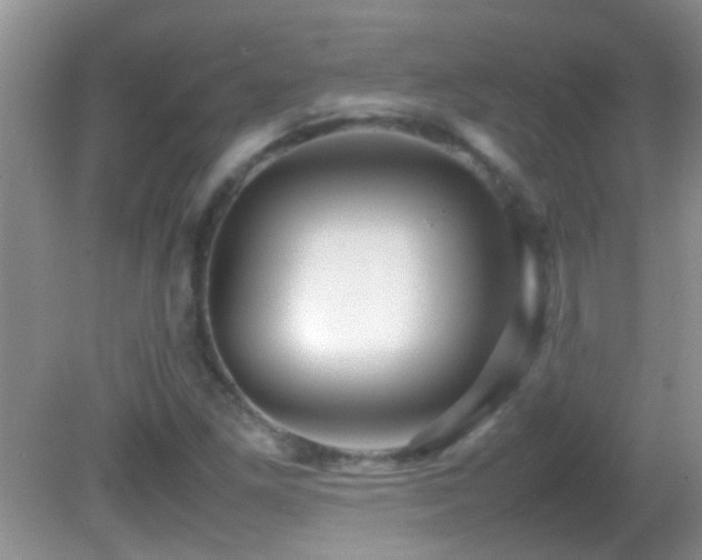 X0000082751261200701261458
