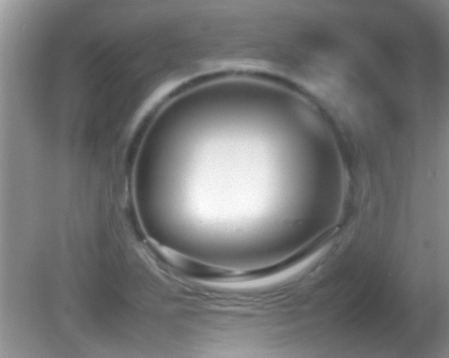 X0000082751271200701261458