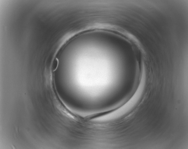 X0000082751280200701261458