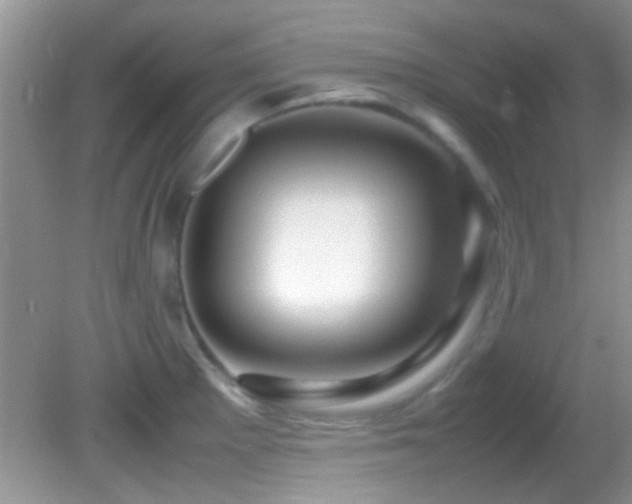 X0000082751281200701261458