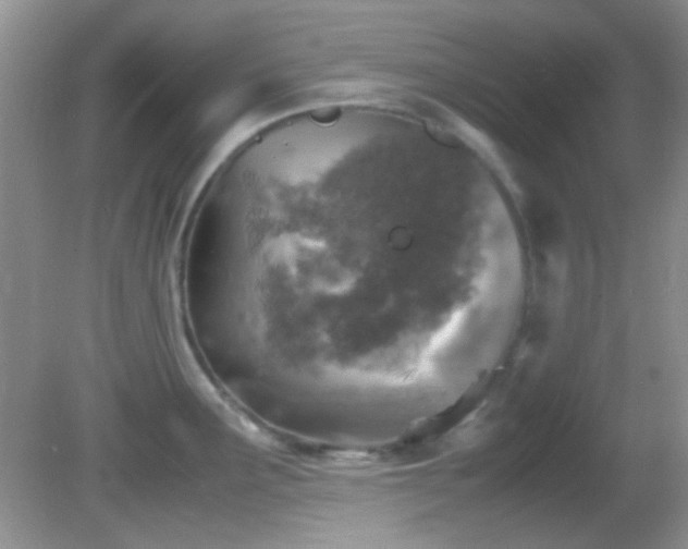 X0000082751291200701261457