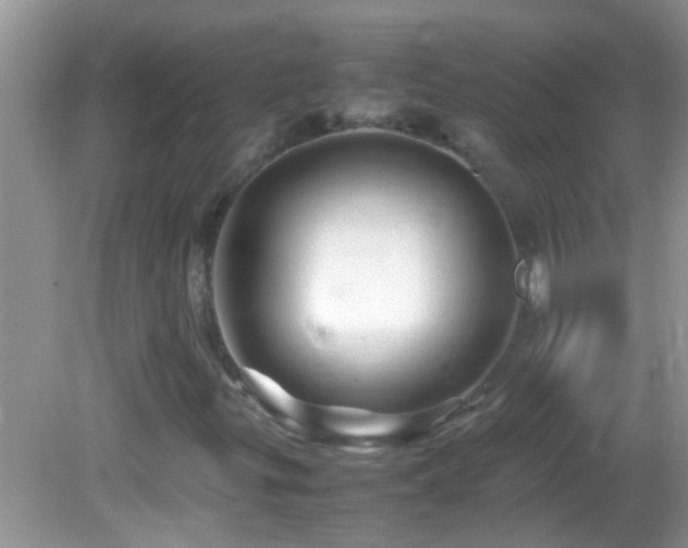 X0000082751299200701261457