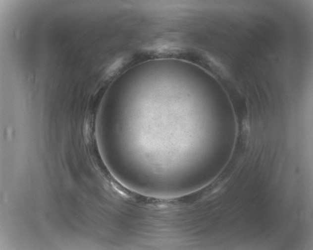 X0000082751300200701261457