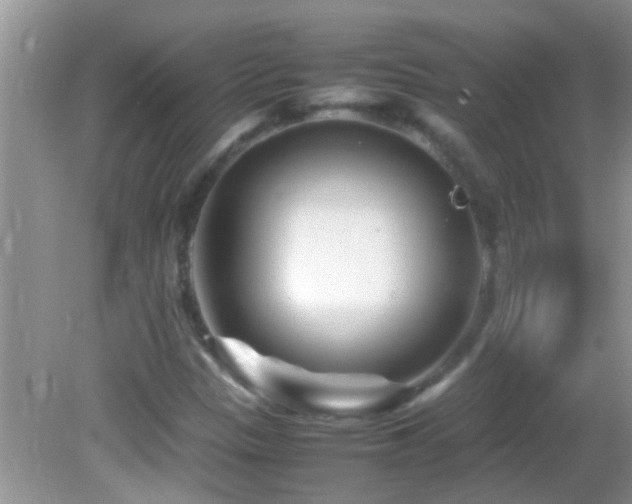 X0000082751305200701261457