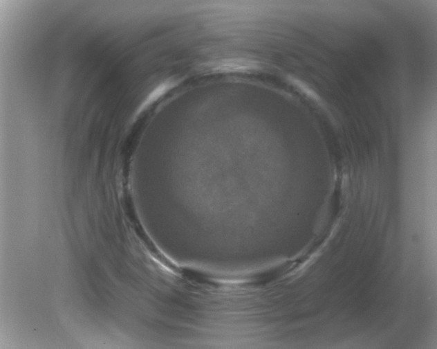 X0000082751306200701261457