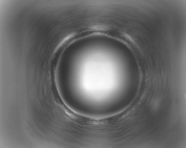 X0000082751307200701261457