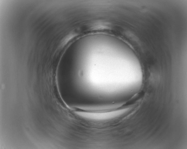 X0000082751313200701261457