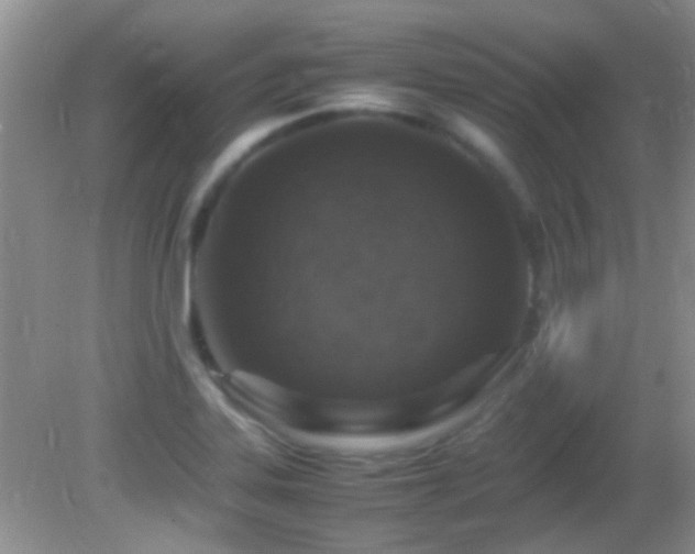 X0000082751323200701261457