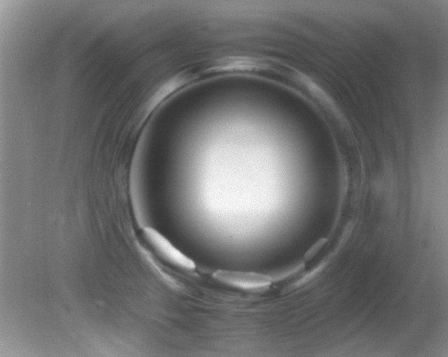 X0000082751329200701261457